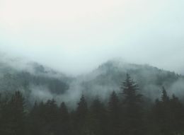 Zadbaj o czyste powietrze w Twojej okolicy